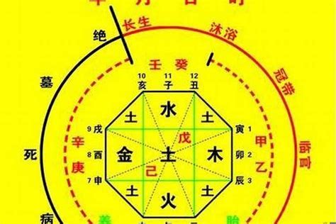 出生 天干地支|生辰八字算命、五行喜用神查询（免费测算）